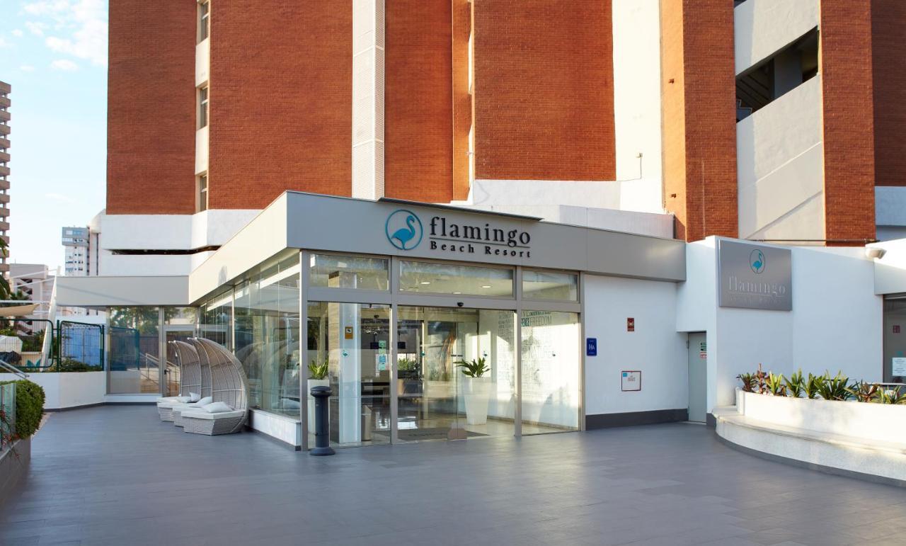Flamingo - Adults Recommended Appart hôtel 4*
